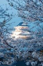 星空体育官网登录首页-星空体育，探索无限体育激情的门户